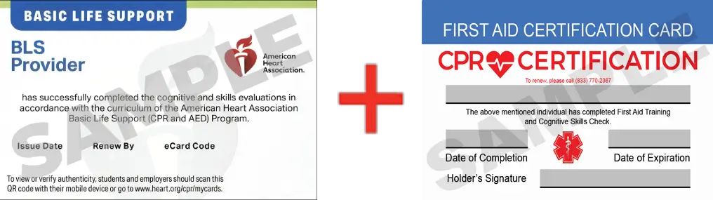 Sample American Heart Association AHA BLS CPR Card Certification and First Aid Certification Card from CPR Certification Henderson