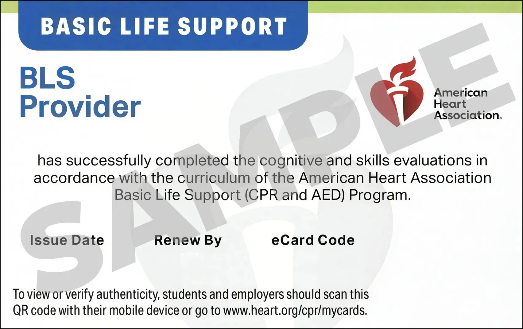 Sample American Heart Association AHA BLS CPR Card Certification from CPR Certification Henderson